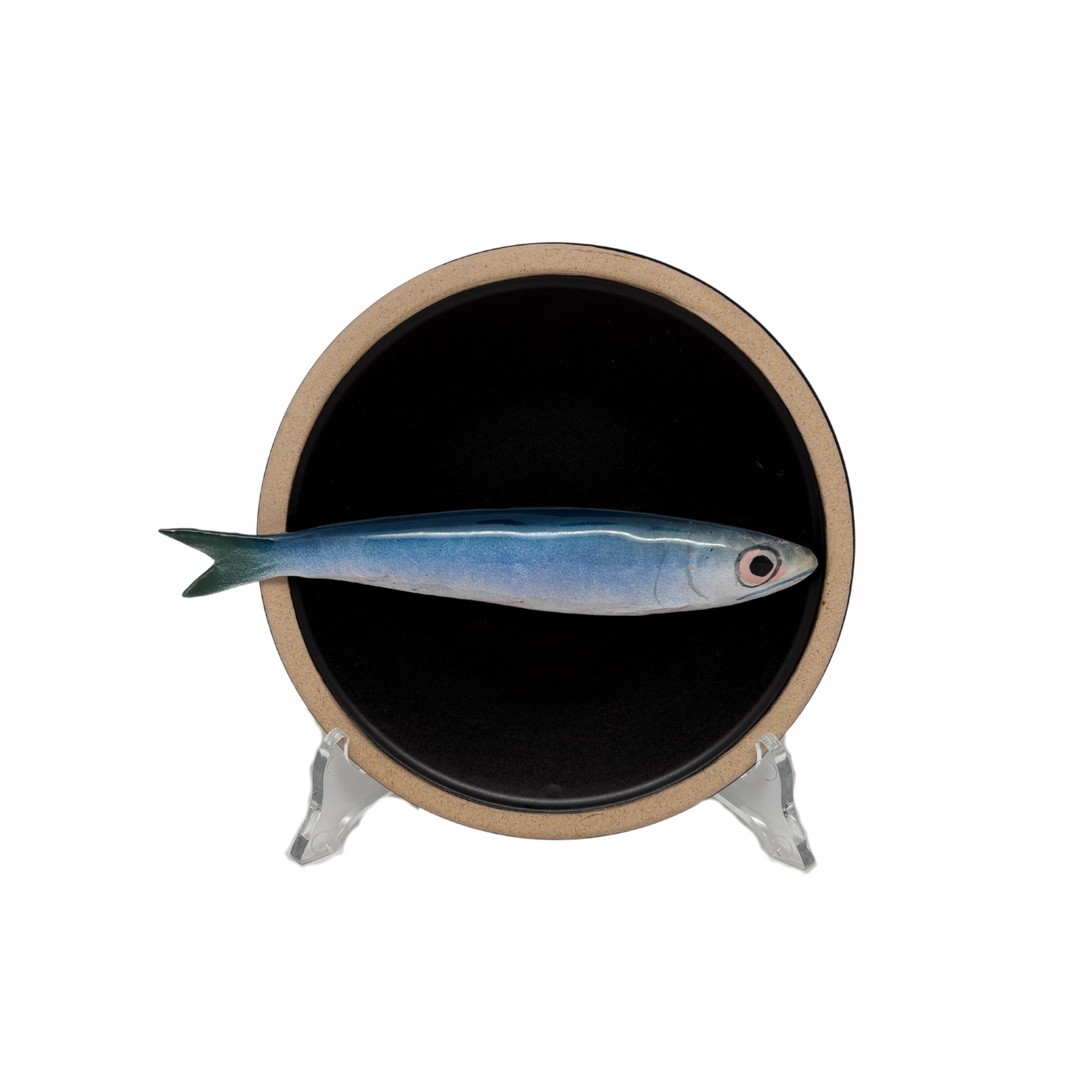 Sardine op zwart bordje met lichte rand, 15 cm rond