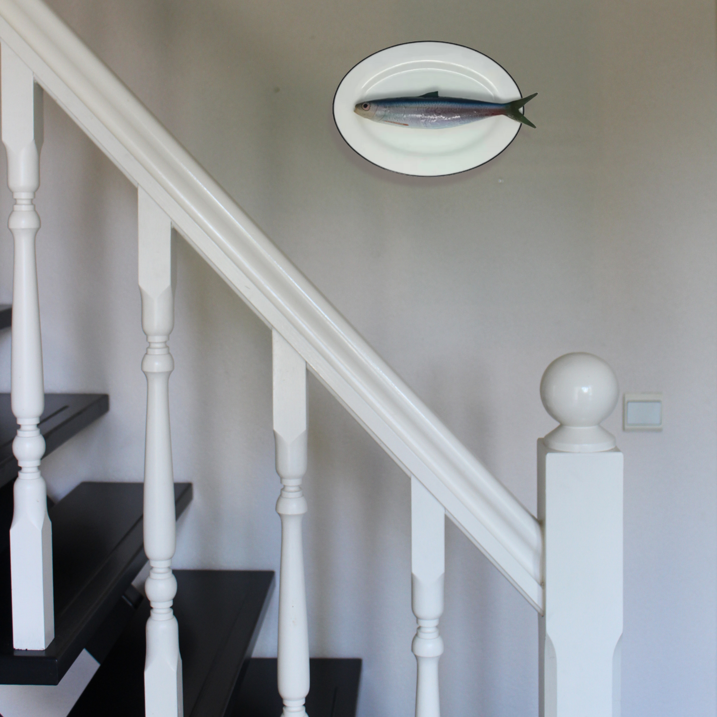 Alaccia/Haring op ovaal wit bord met donker grijze rand