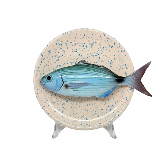 Occhiata op licht blauw spatten bord, 21cm