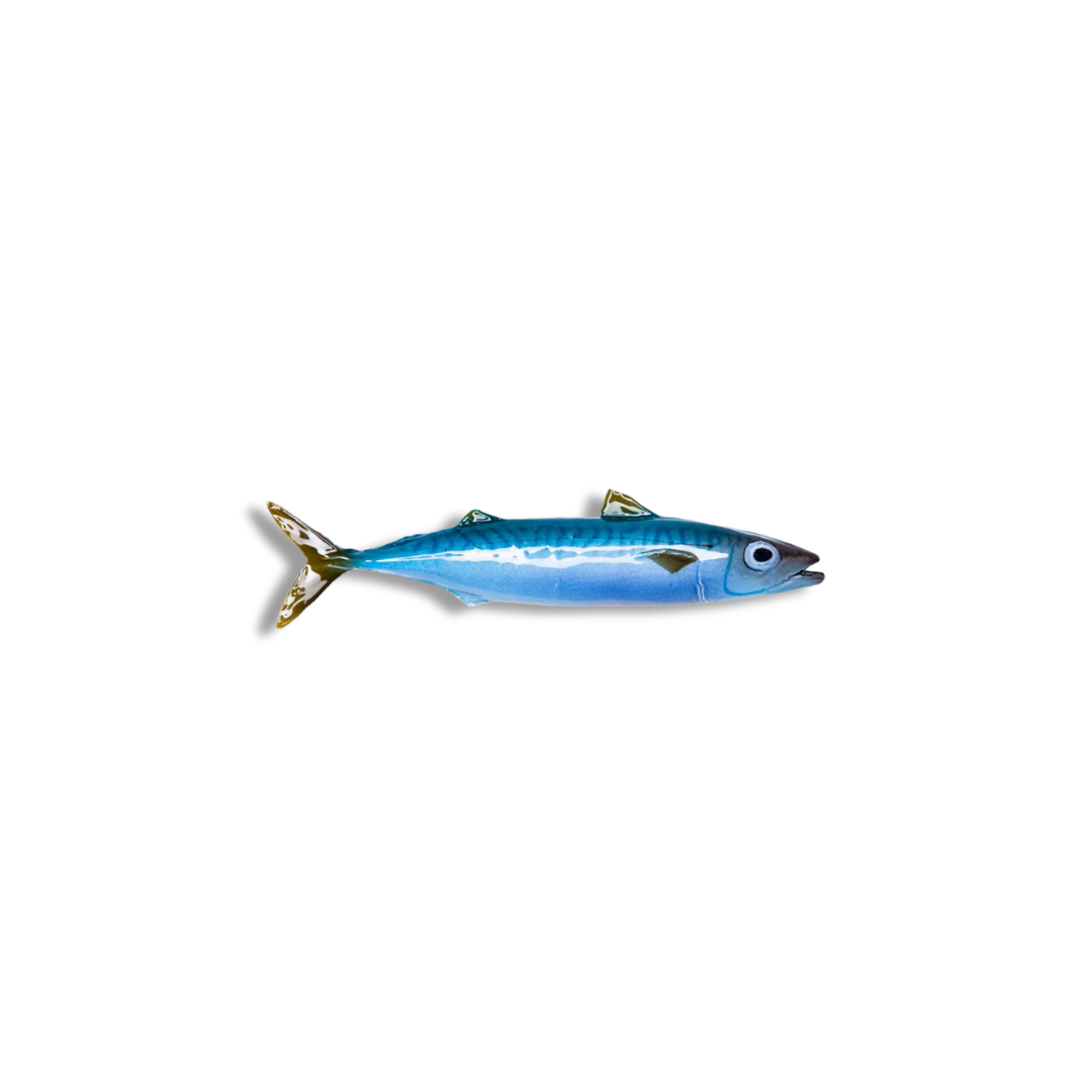 Makreel medio, 28 cm