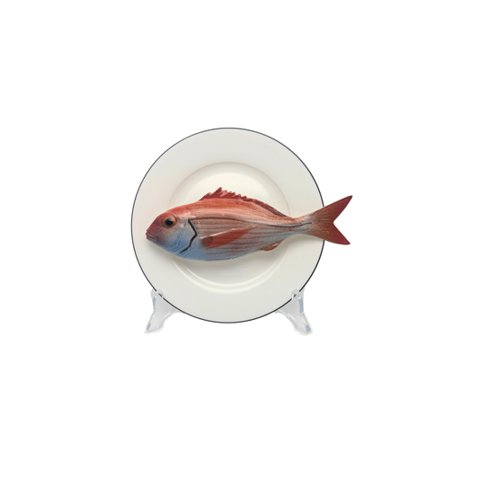 Pagello op wit bord met zwarte rand, 16,5cm rond