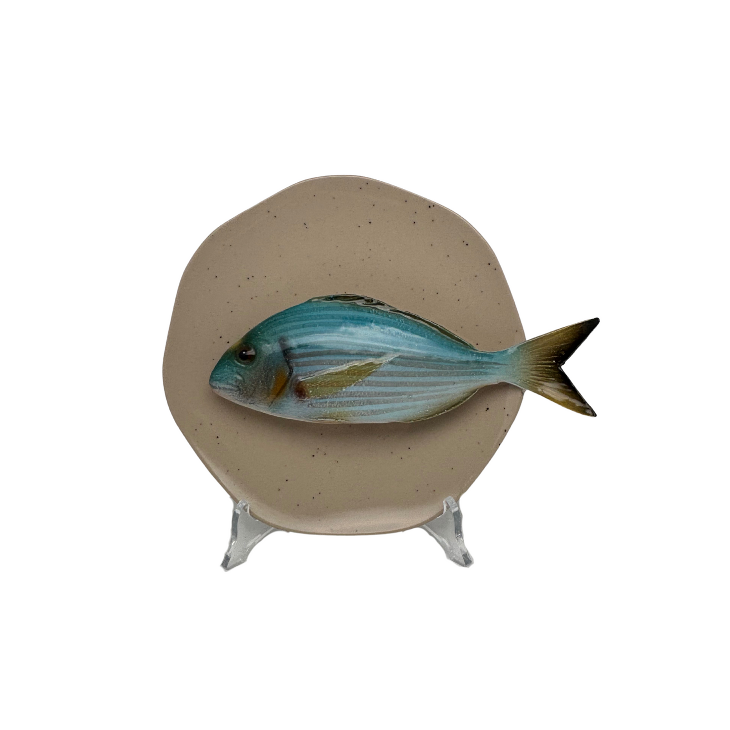 Orata medio op zand kleur bord, hoekig 20 cm