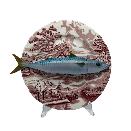 Makreel/Sugarello op roze vintage bord, 25 cm rond
