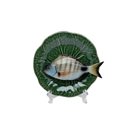 Sarago medio op een groen bladvormig bordje, 20cm