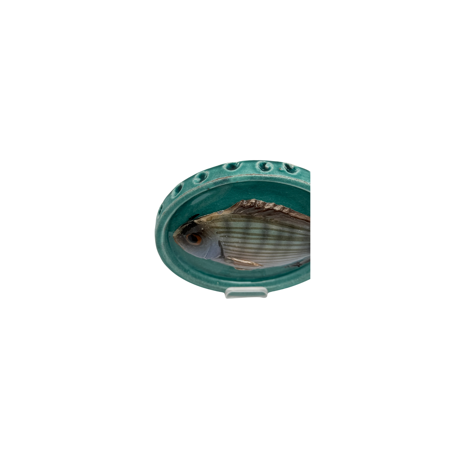 Sarago piccolo op een handgemaakt turquoise bordje, 10.5cm