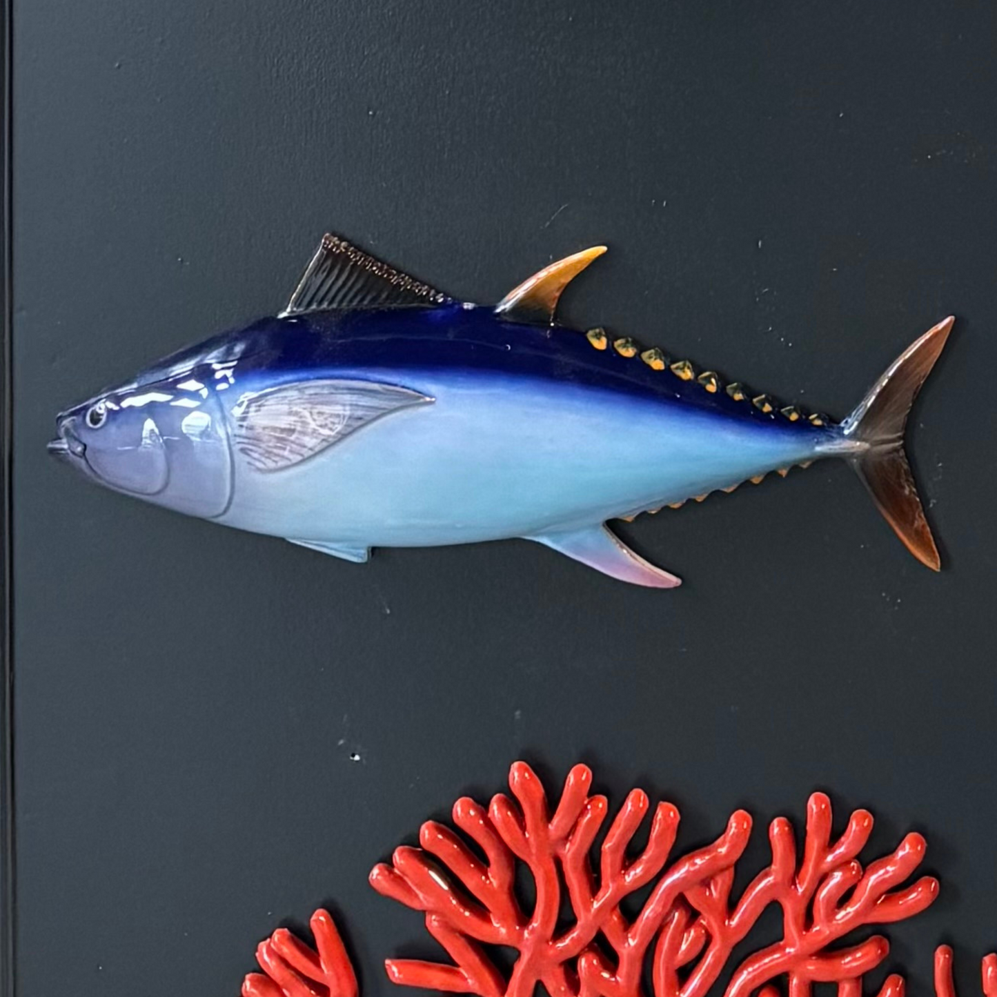 Tonno / Tonijn 40 cm