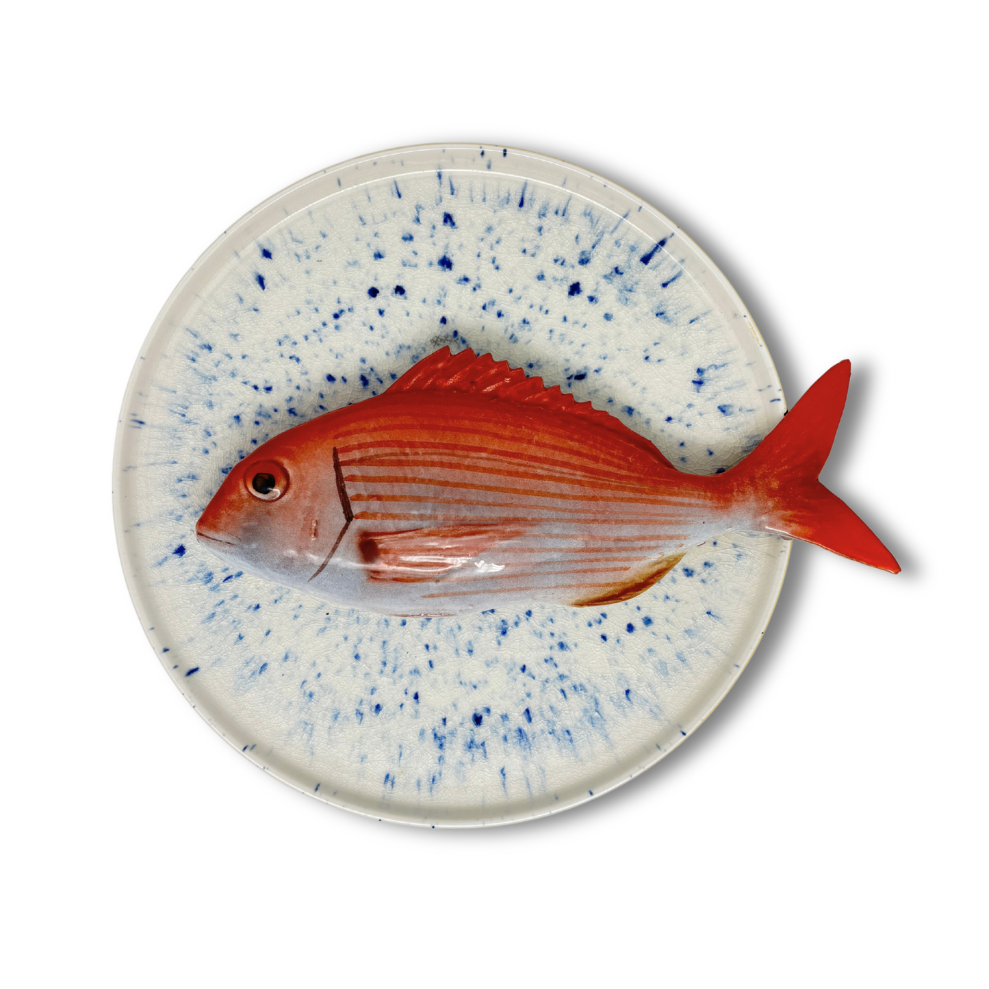 Pagro op wit bord met cobalt blauwe verfspatten, 26 cm rond