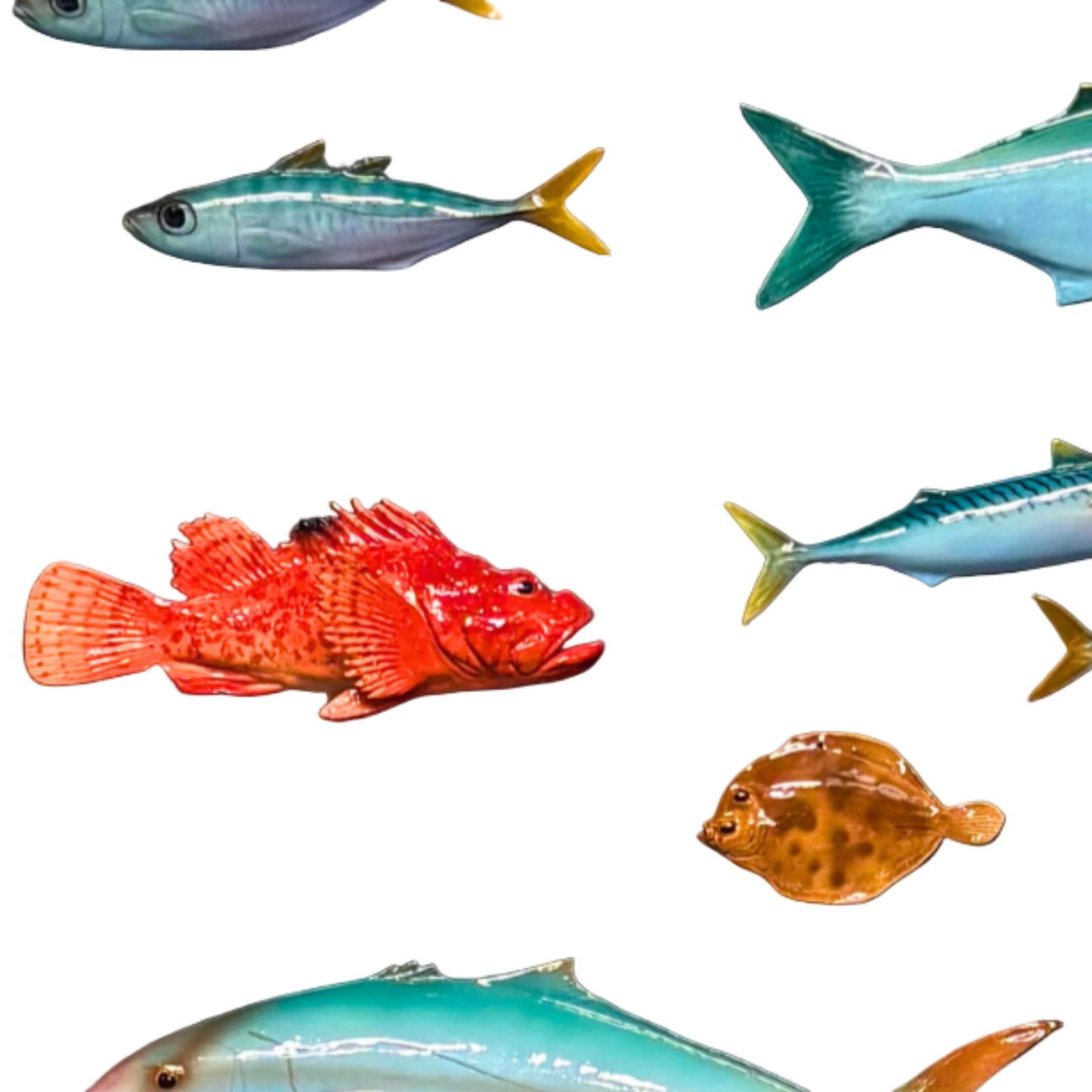 Pettine/schol klein, 16 cm