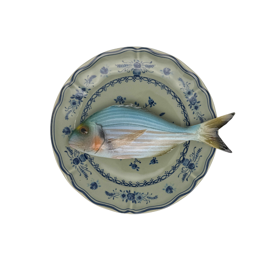 Orata op olijfgroen bord met blauwe decoratie 21 cm