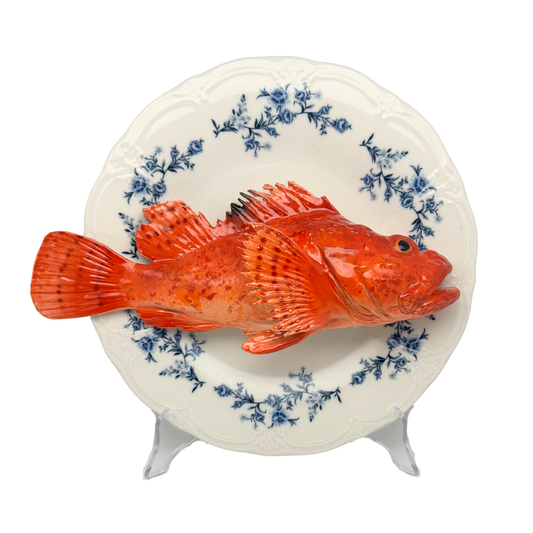 Cipolla op wit met blauwe details op decoratief bord, 27 cm