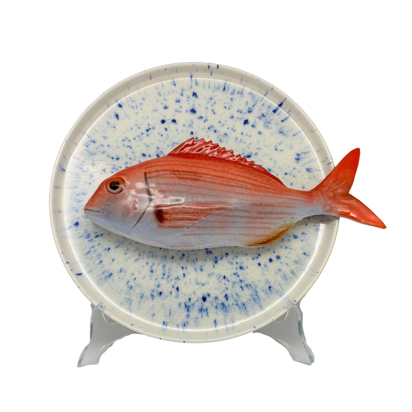 Pagro op wit bord met cobalt blauwe verfspatten, 26 cm rond