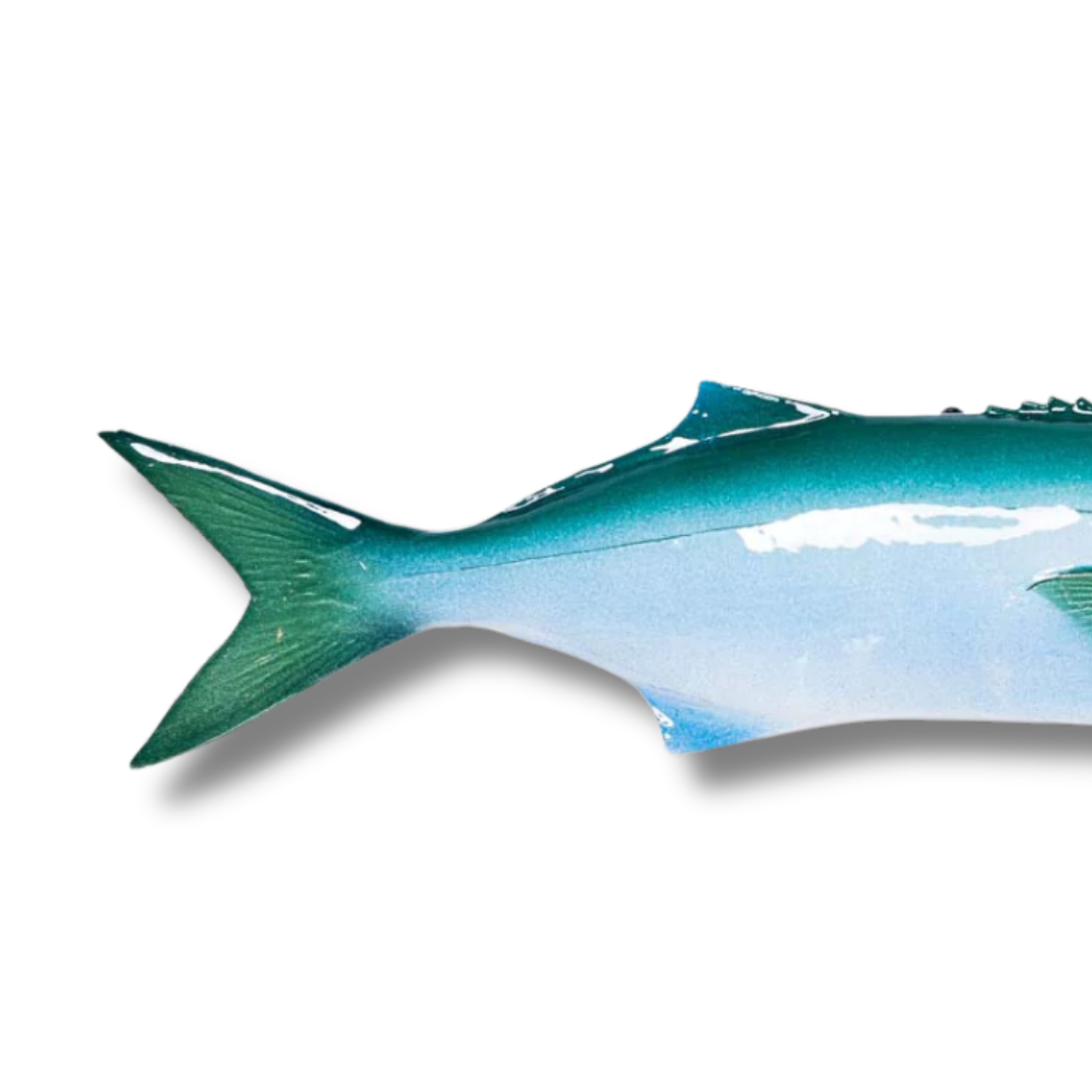 1083 Serra / Bluefish 40 cm