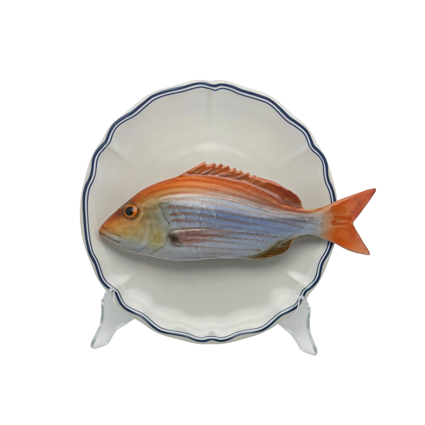 Dentice op wit bord met blauw geschulpte rand, 21 cm rond