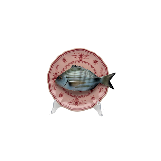 Sarago medio op poederroze bord met rode decoratie, 17cm