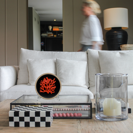 Koraal piccolo op zwart bord met lichte rand, 15cm rond