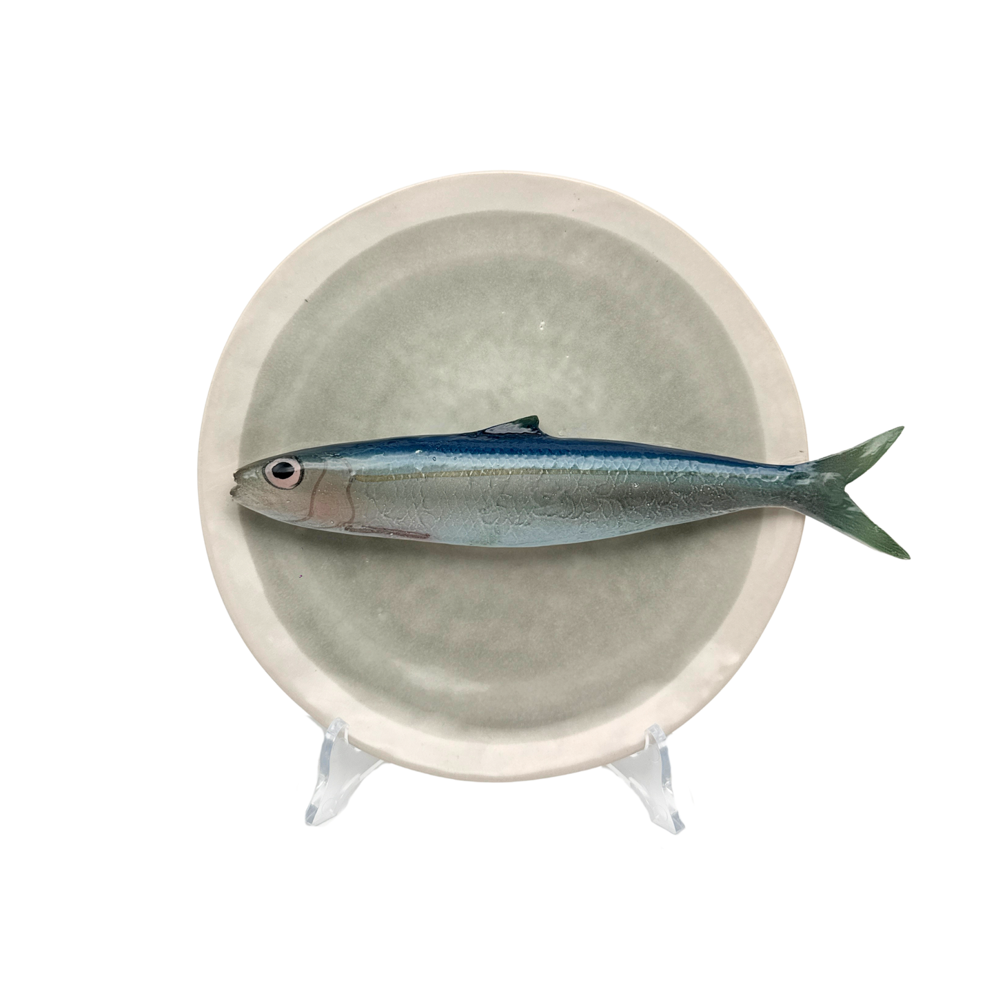 Alaccia/Haring op grijsgroen bord met lichte rand, 21 cm