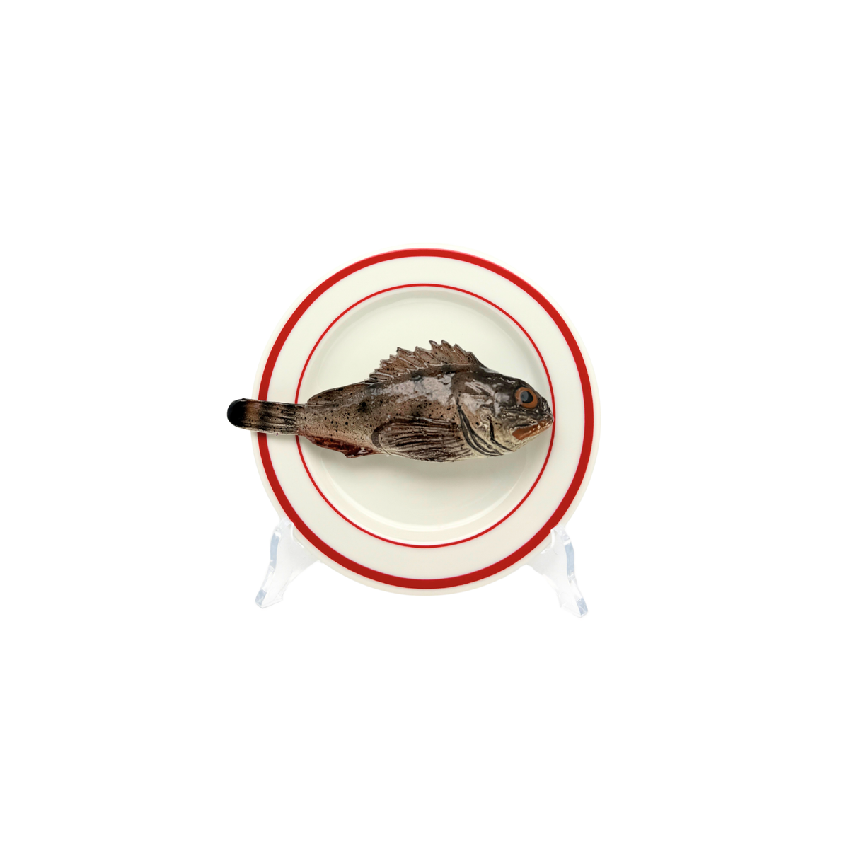 Scorfano Marrone op wit bord met dubbele rode rand, bord 15 cm