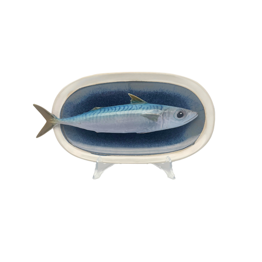 Makreel/Tombarello op ovaal blauw bord met lichte rand, 26x25cm