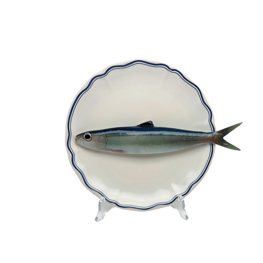 Alaccia/Haring op wit bord met blauwe geschulpte rand 21 cm