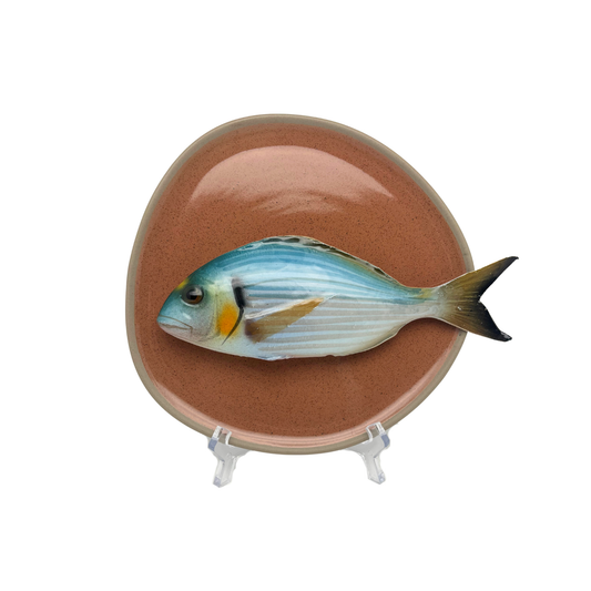 Orata medio op brique organische vorm bord, 20cm