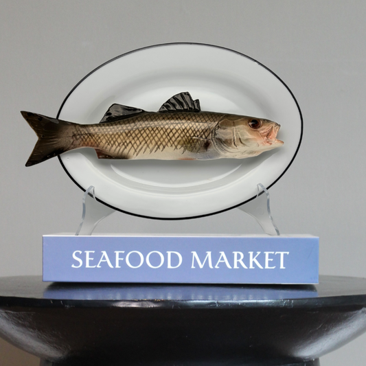 Spigola op ovaal wit bord met donker grijze rand, 25x17cm