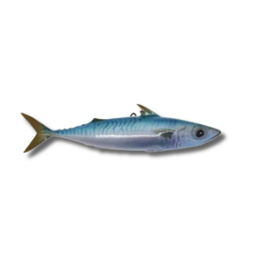 Makreel/Tombarello, 26 cm