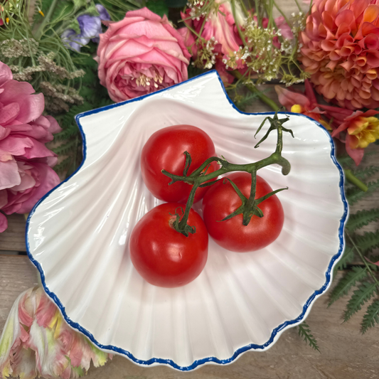Decoratief keramiek Schelpenschaal wit met blauwe rand, B25,5xD21xH6cm