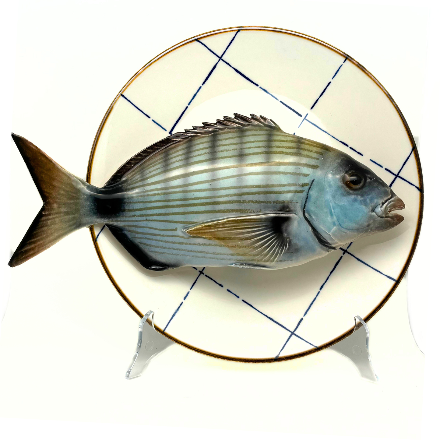 Sarago Grande op wit bord met blauwe ruit, 28cm rond.