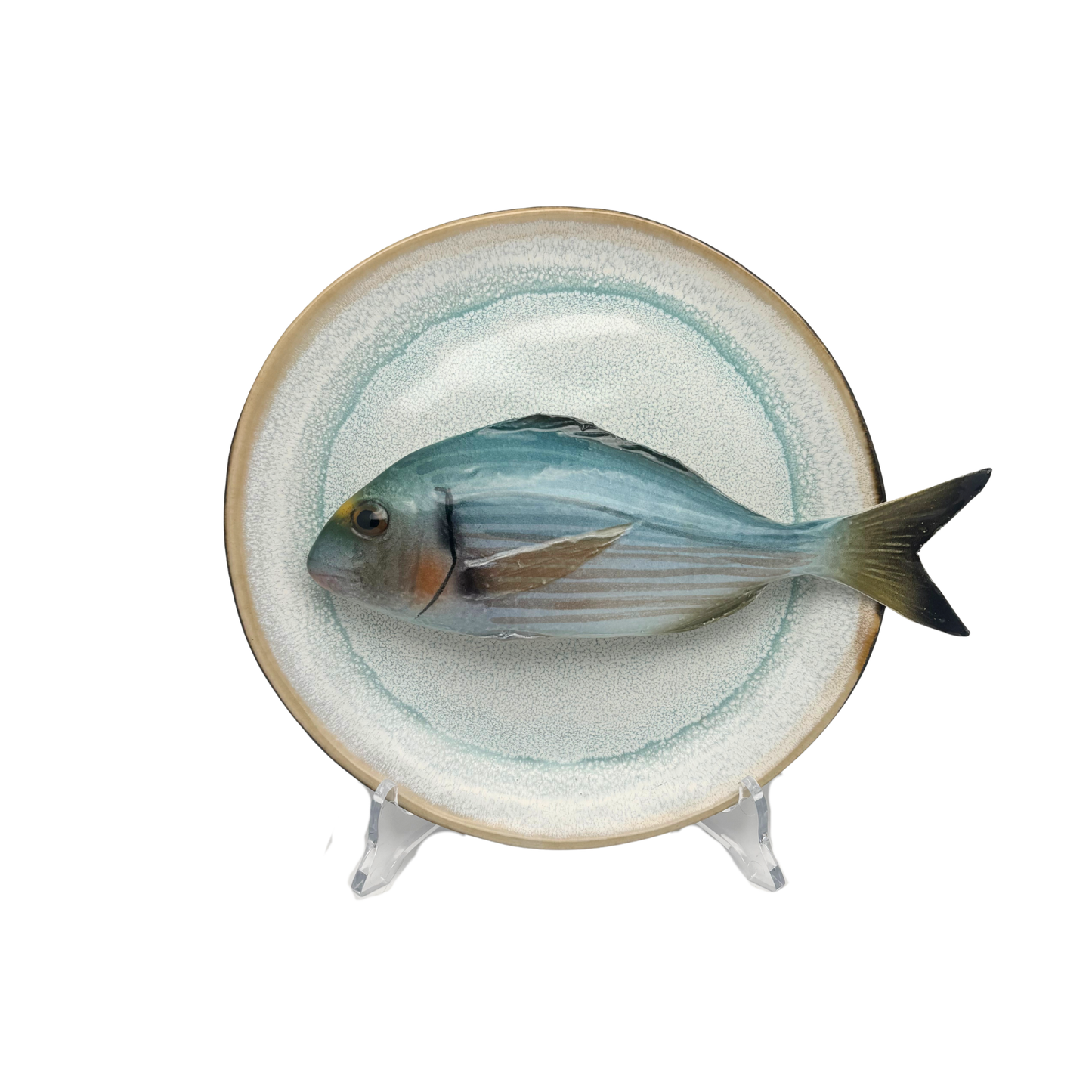 Orata op licht aqua blauw handgemaakt en beschilderd bord, 20cm