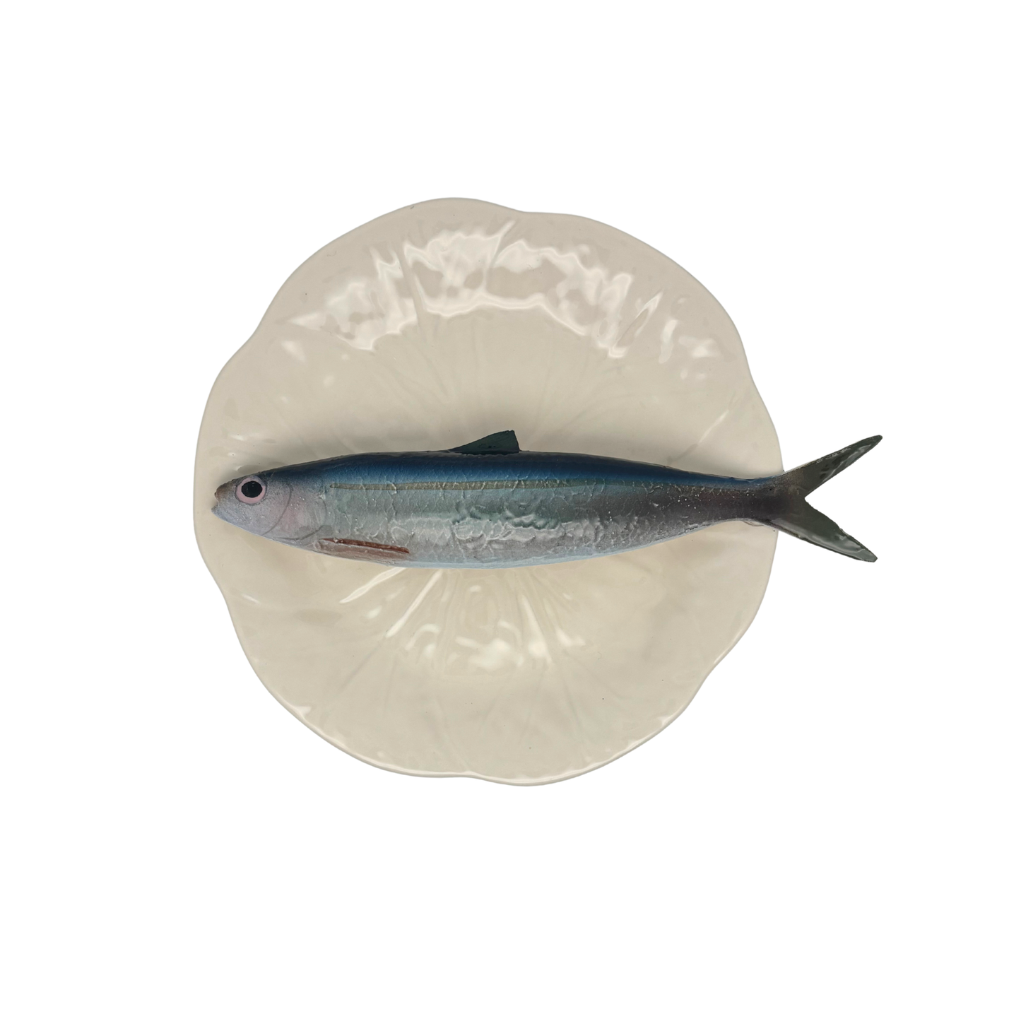 Alaccia/Haring op een créme bladvormig bord, 20 cm