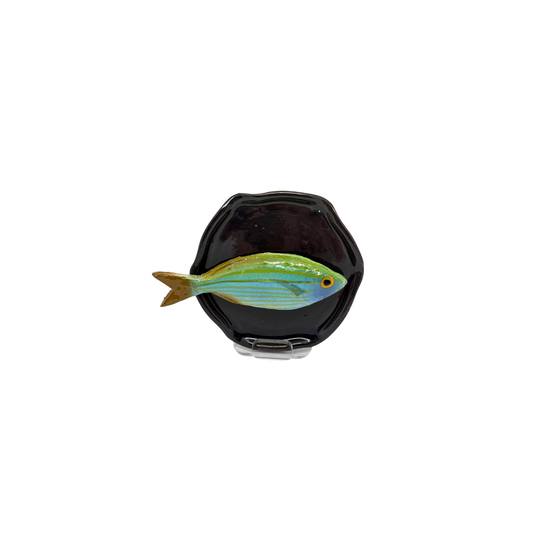 Salpa piccolo op handmade donkerblauw bordje, 11 cm