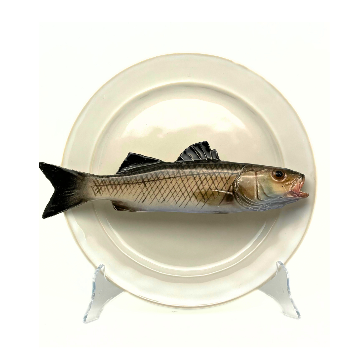 Spigola op wit/crème bord met rand, 24 cm rond