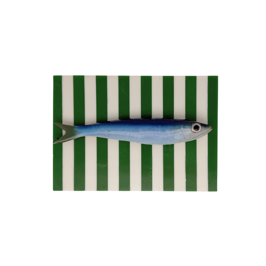 Sardine op groen met wit gestreept opbergbox, L18XB12,5XH7 cm