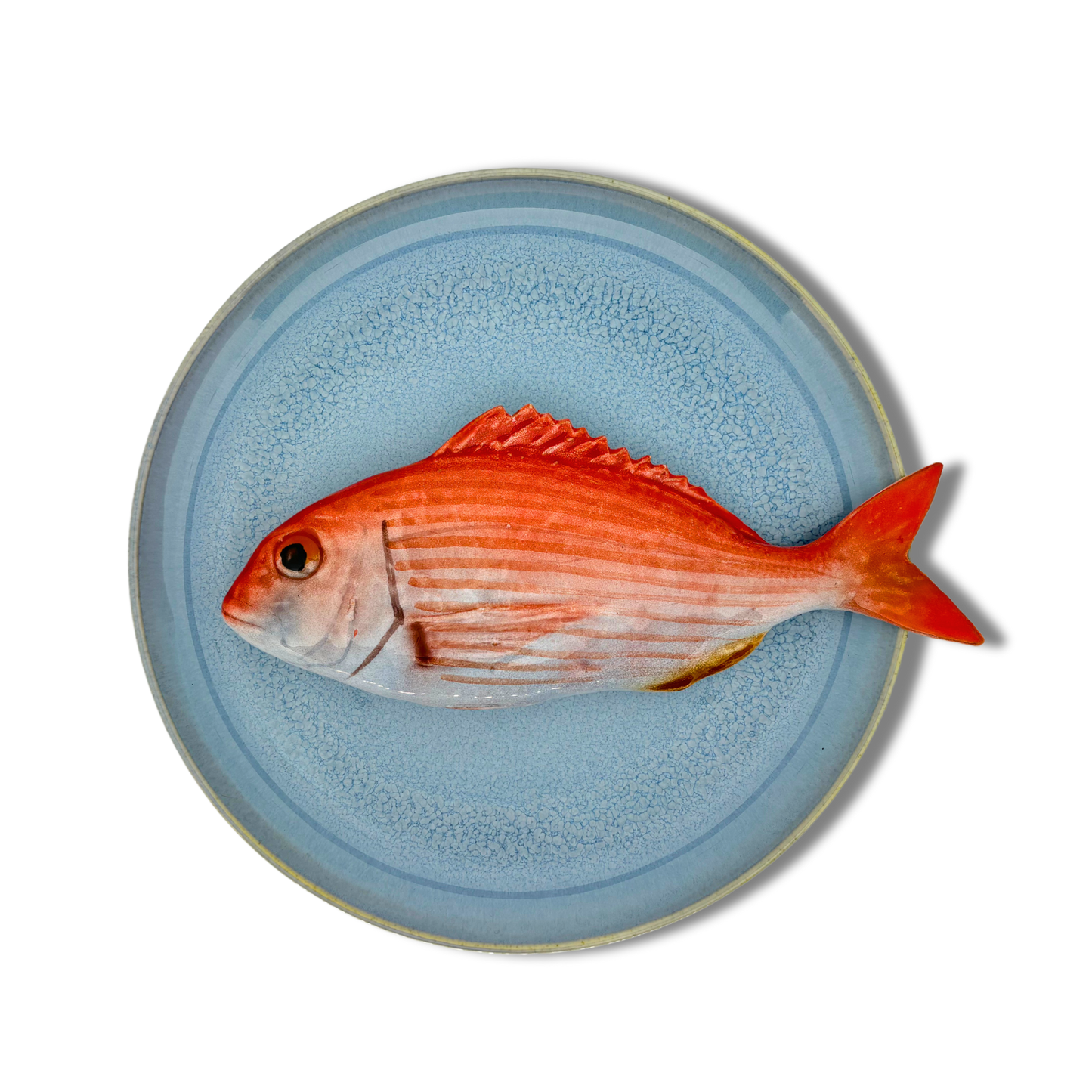 Pagro op licht blauw bord, 26 cm rond