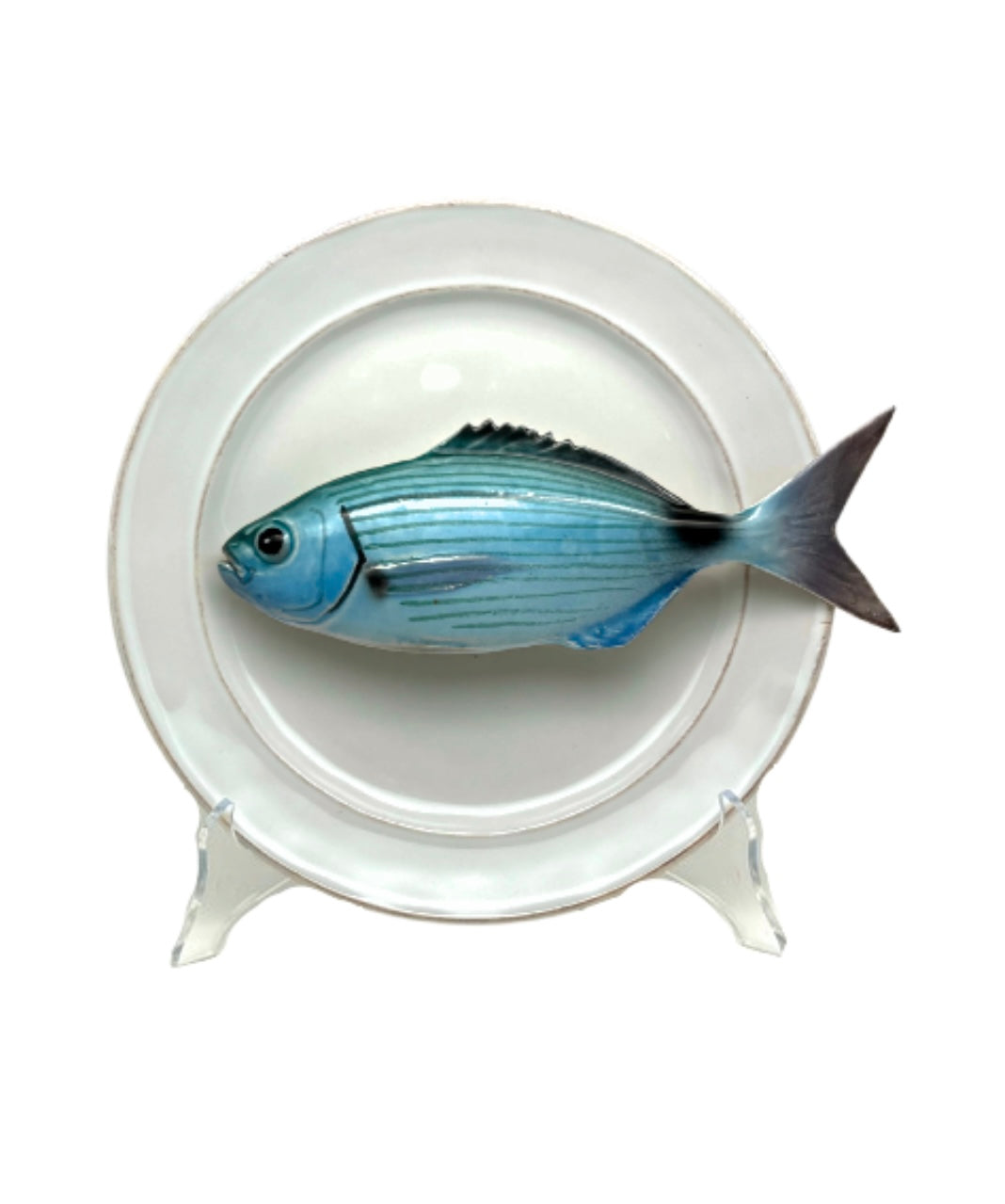 Occhiata op wit/crème bord met rand, 24 cm