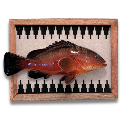 Cernia multo grande in een gestoffeerd houten lijst, 40X31cm