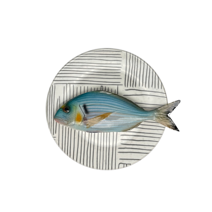 Orata op bord met grijze streep decoratie, 20 cm