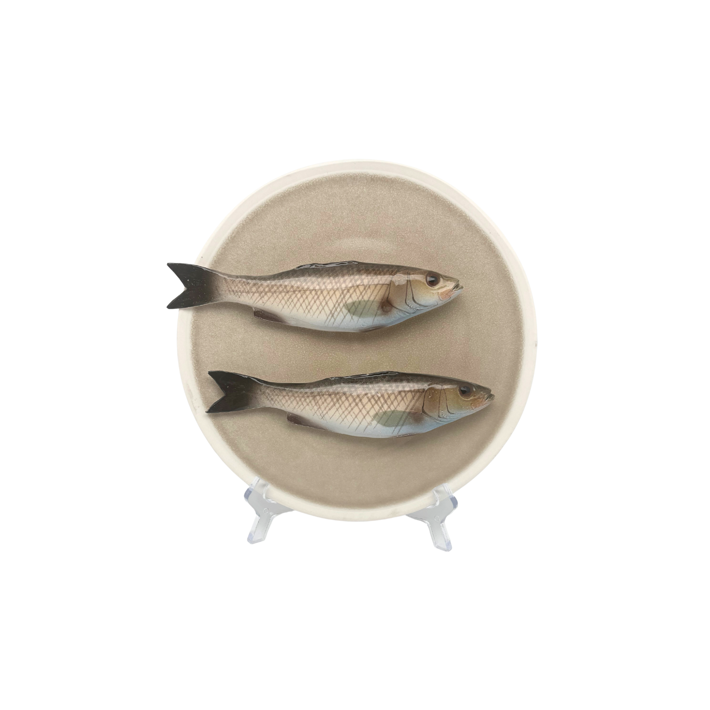 Spigola's medio op een beige bord met lichte rand, 20 cm