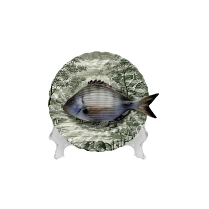 Sarago medio op groen vintage bord, 16 cm rond