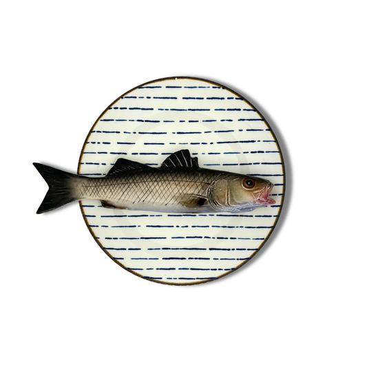 Spigola grande op blauw streep bord, 22cm rond
