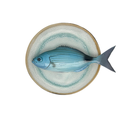 Occhiata op licht aqua blauw handgemaakt en beschilderd bord, 20cm