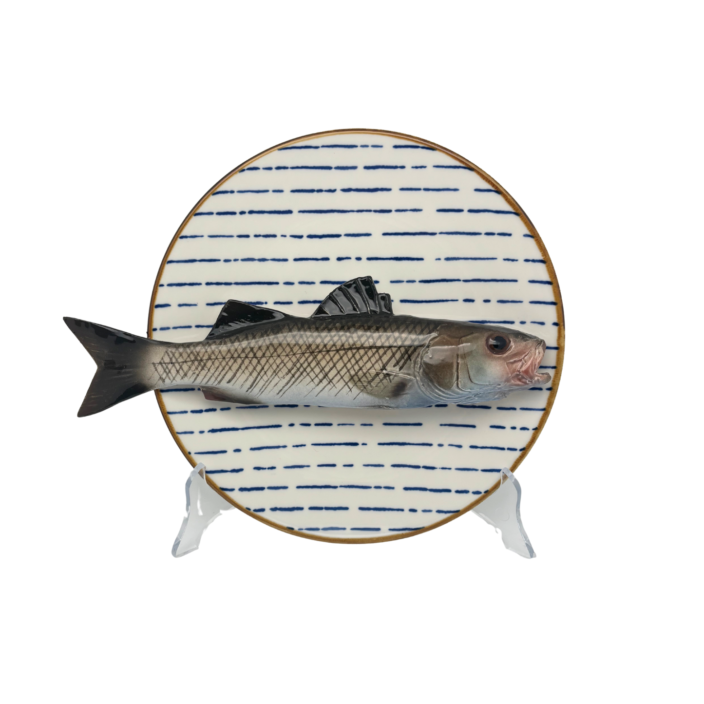 Spigola grande op blauw streep bord, 22cm rond