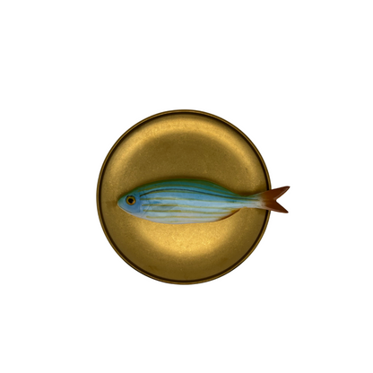 Salpa medio op antiek gouden bord, 16,5 cm rond