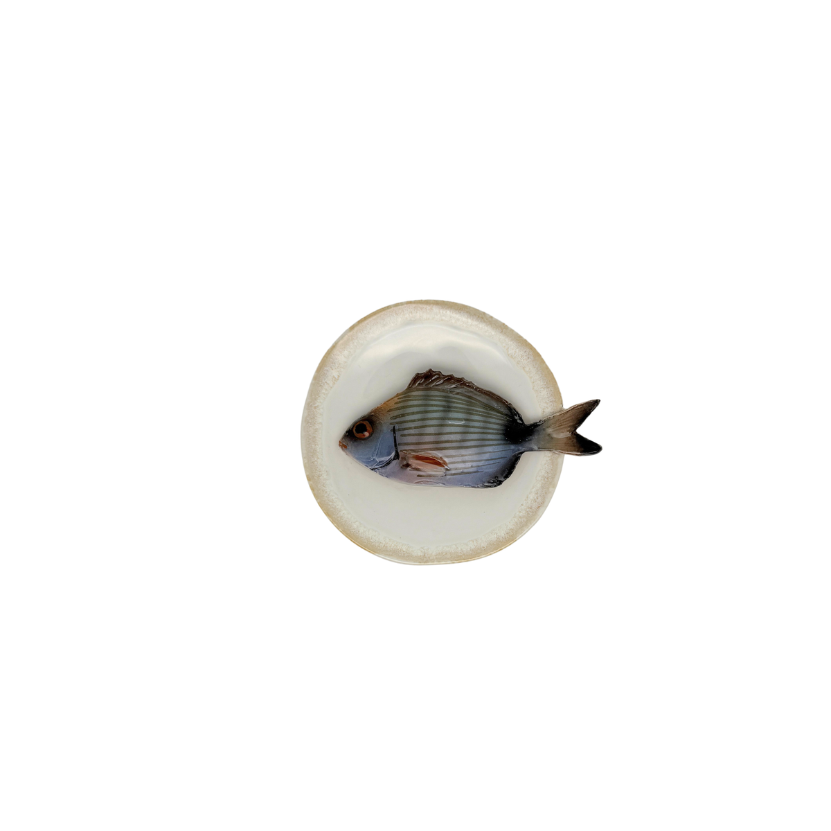 Sarago piccolo op champagne kleur bord met zandkleurige rand, 12 cm