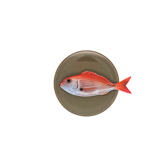 Pagello op een taupe kleur bordje, 16cm rond