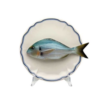 Orata op wit bord met blauwe geschulpte rand 21 cm