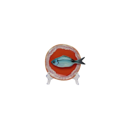 Occhiata piccolo op perzikroze bordje met lichte rand, 12 cm rond