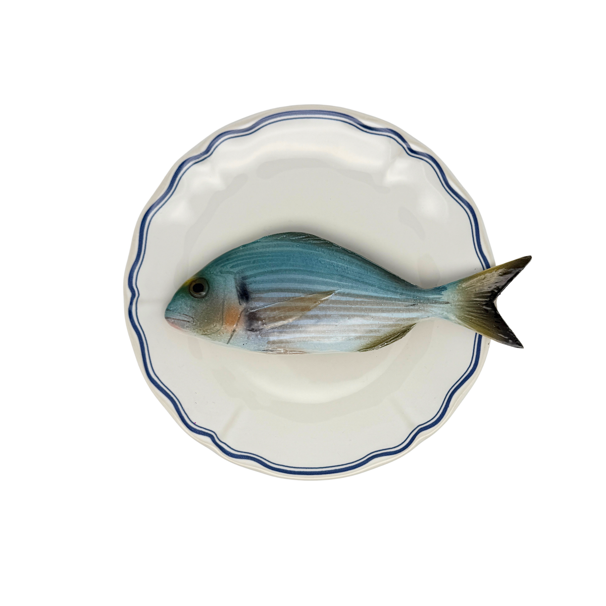 Orata op wit bord met blauwe geschulpte rand 21 cm