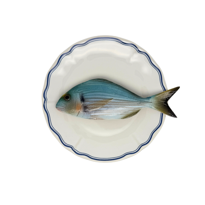 Orata op wit bord met blauwe geschulpte rand 21 cm
