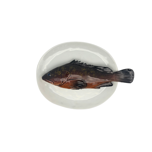 Cernia medio op een ovaal wit bord, 22X19 cm